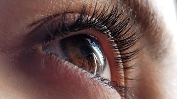 kit rehaussement de cils